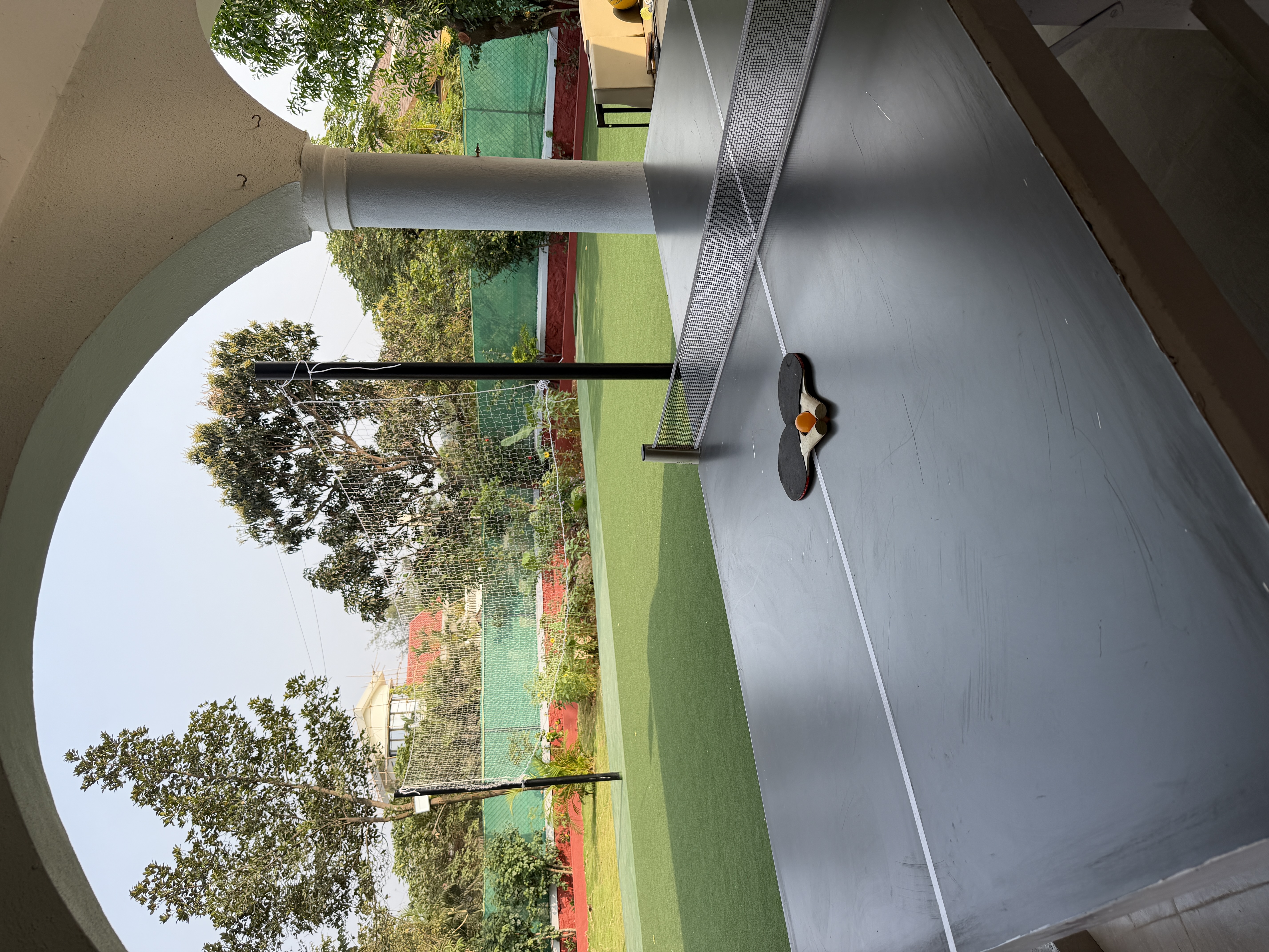 Lawn and table tennis